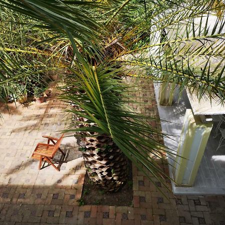 B&B La Salamandra Kitchengarden Forio di Ischia Eksteriør billede