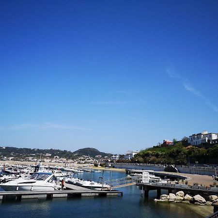 B&B La Salamandra Kitchengarden Forio di Ischia Eksteriør billede