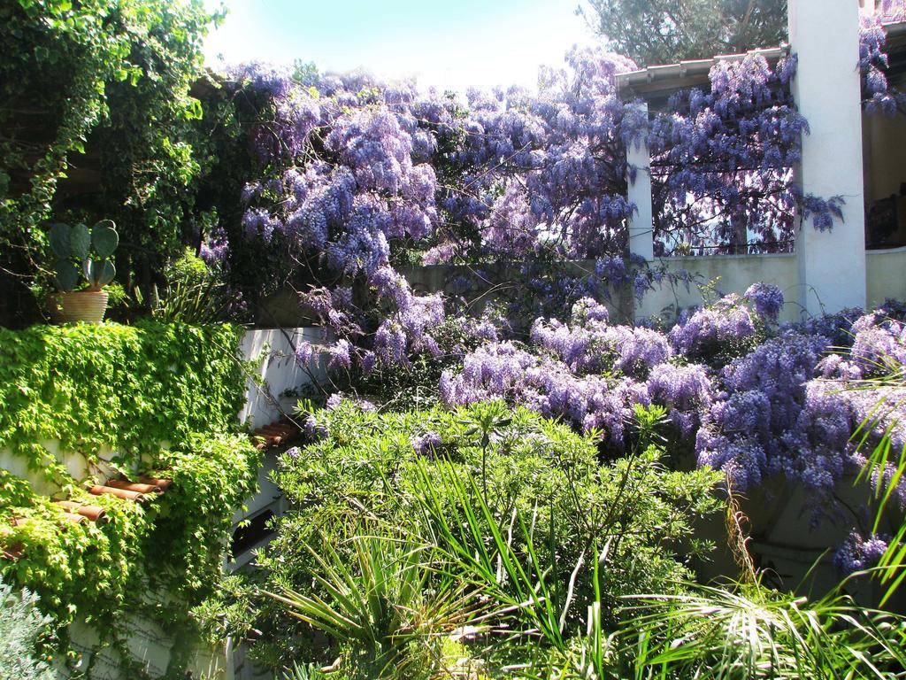 B&B La Salamandra Kitchengarden Forio di Ischia Eksteriør billede
