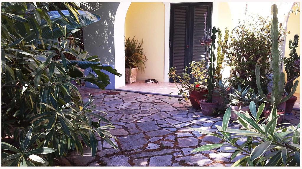 B&B La Salamandra Kitchengarden Forio di Ischia Eksteriør billede