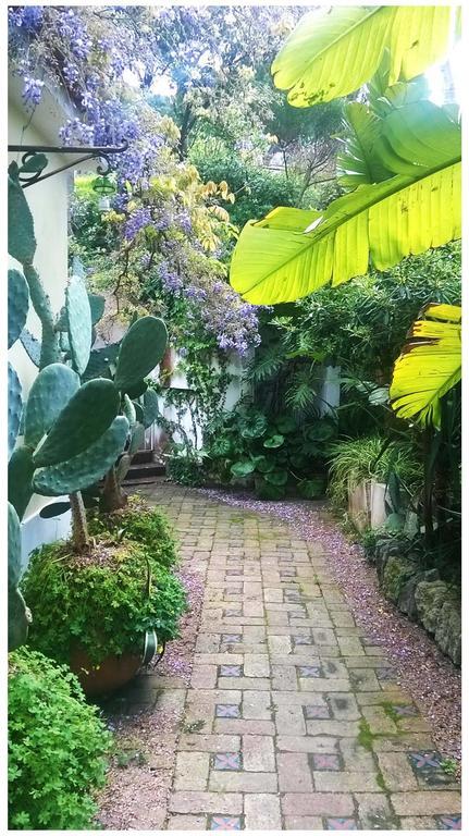 B&B La Salamandra Kitchengarden Forio di Ischia Eksteriør billede