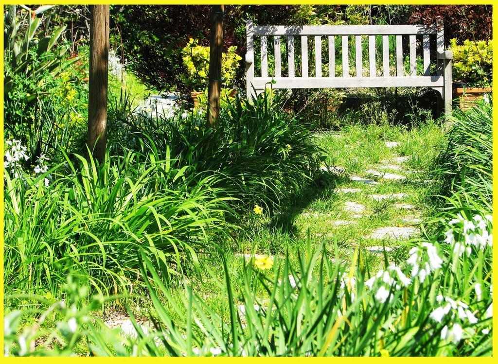 B&B La Salamandra Kitchengarden Forio di Ischia Eksteriør billede