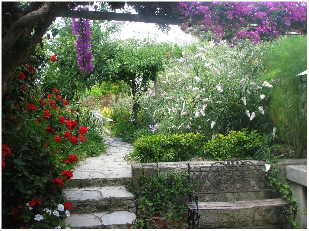 B&B La Salamandra Kitchengarden Forio di Ischia Eksteriør billede