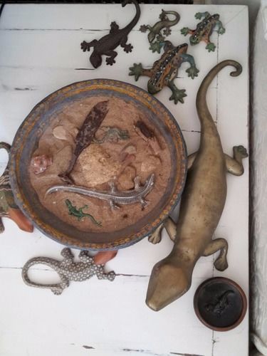 B&B La Salamandra Kitchengarden Forio di Ischia Eksteriør billede