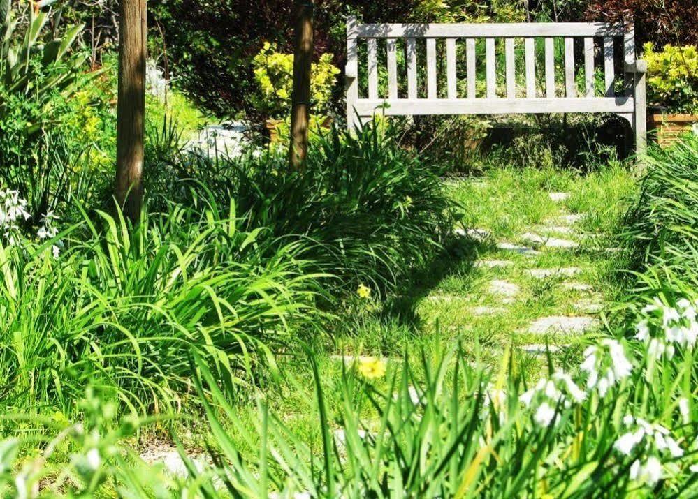 B&B La Salamandra Kitchengarden Forio di Ischia Eksteriør billede