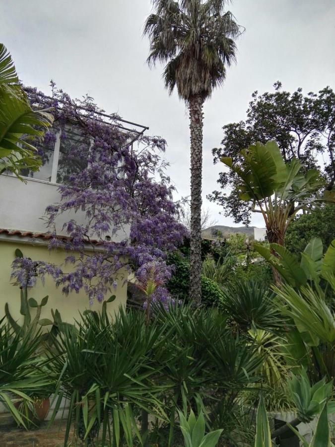 B&B La Salamandra Kitchengarden Forio di Ischia Eksteriør billede
