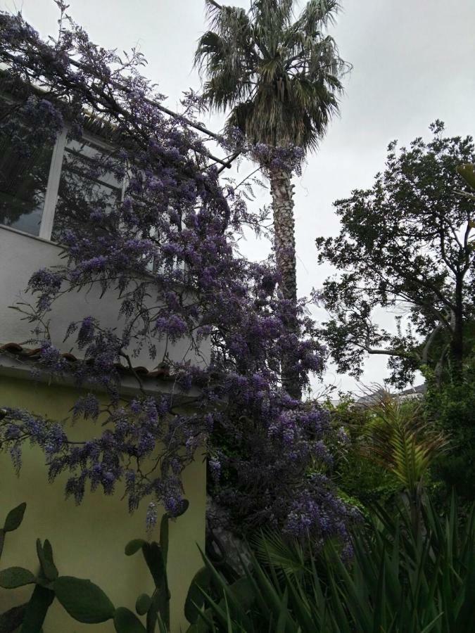 B&B La Salamandra Kitchengarden Forio di Ischia Eksteriør billede