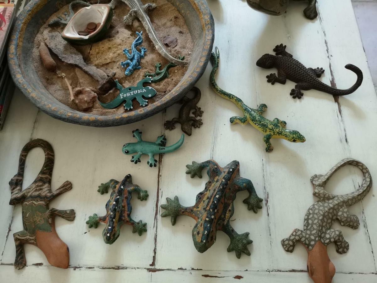 B&B La Salamandra Kitchengarden Forio di Ischia Eksteriør billede