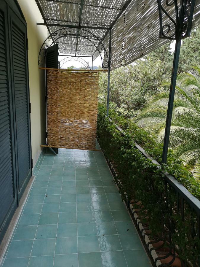B&B La Salamandra Kitchengarden Forio di Ischia Eksteriør billede
