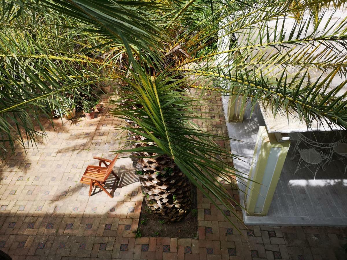 B&B La Salamandra Kitchengarden Forio di Ischia Eksteriør billede